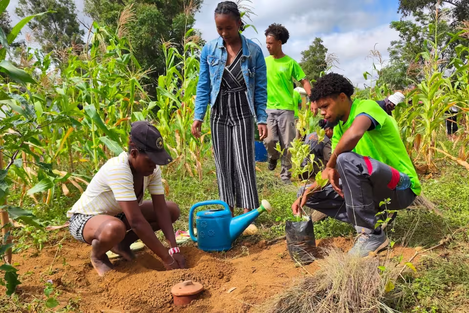 Une maman bénéficiaire d'Aïna et un étudiant en t-shirt vert plantent un arbre ensemble pendant la campagne de reboisement agroforestier du Village Aïna.