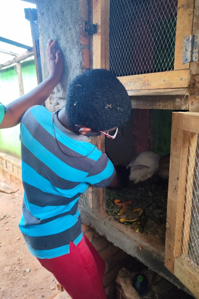 Enfants de Malaza s'occupant des lapins du clapier dans le cadre de l'activité de cuniculture éducative