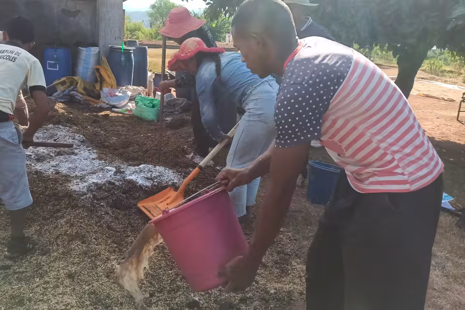Deux participants épandent du compost lors d'un atelier pratique de fabrication d'engrais naturel à Antsirabe