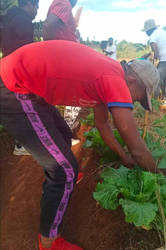 Participant travaillant sur une parcelle maraîchère en terre rouge lors de la formation agroécologie à Antsirabe