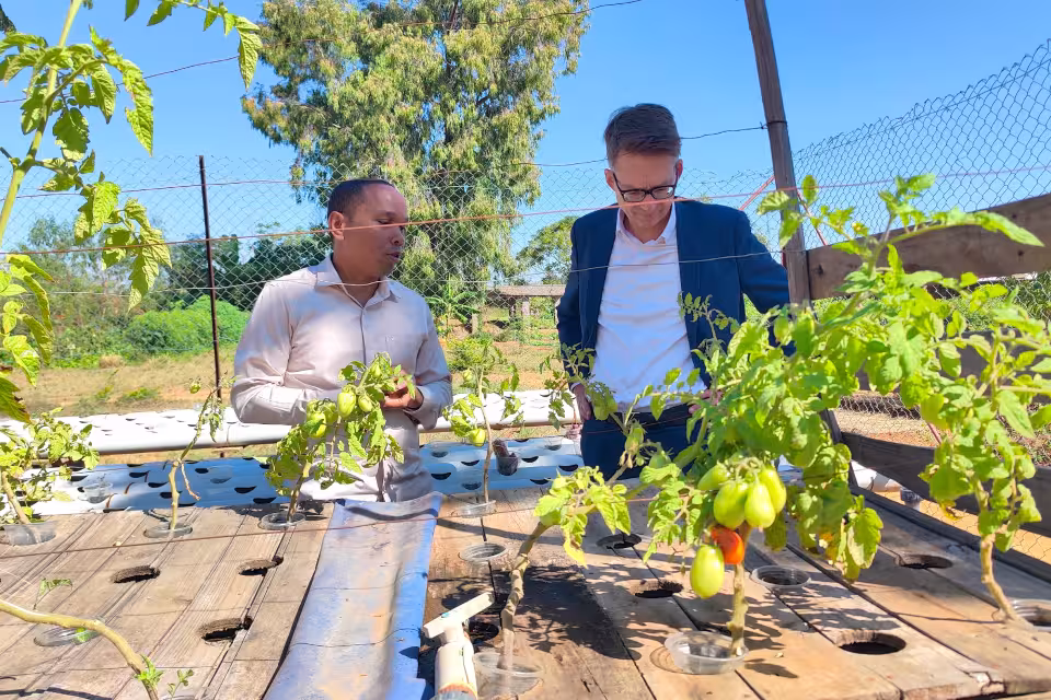 L'Ambassadeur d'Allemagne et un responsable du Village Aïna observent les cultures maraîchères hors-sol