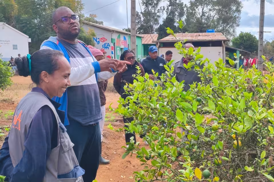 Le formateur commente les cultures fruitières de la ferme du Village Aïna devant les participants à la formation REAP
